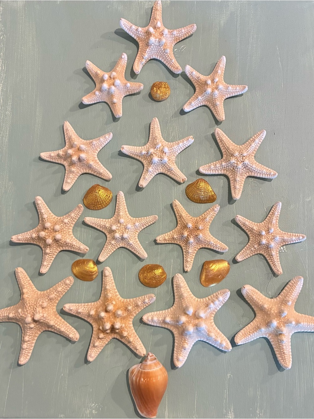 Coastal Starfish and Shell Accent Set in White and Gold - Home Accents